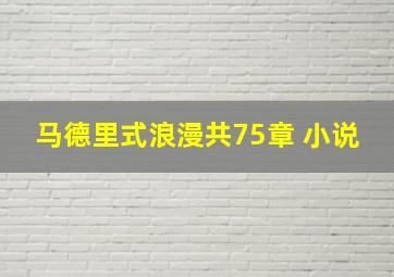 马德里式浪漫共75章 小说